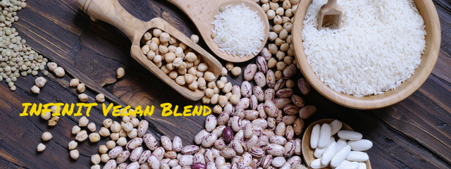 INFINIT Vegan Blend | Plant-Based Protein Blend