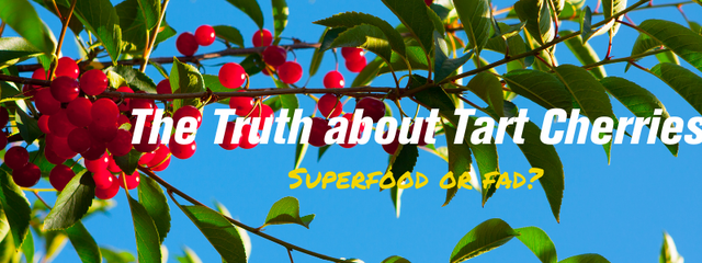 The Truth about Tart Cherries