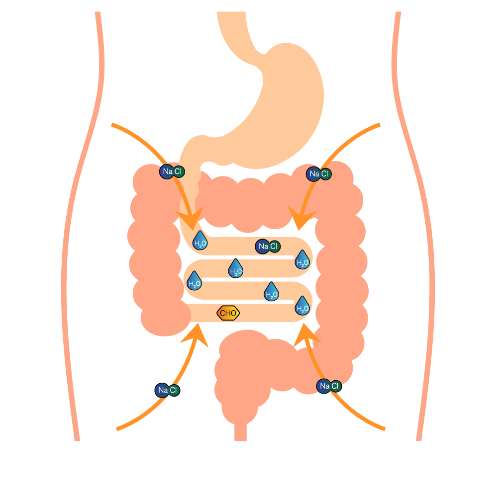 Hypotonic Graphic Hypotonic solutions, like drinking only plain water, can actually cause the body to divert sodium from the blood stream to assist in digestion and absorption. This can cause hyponatremia.