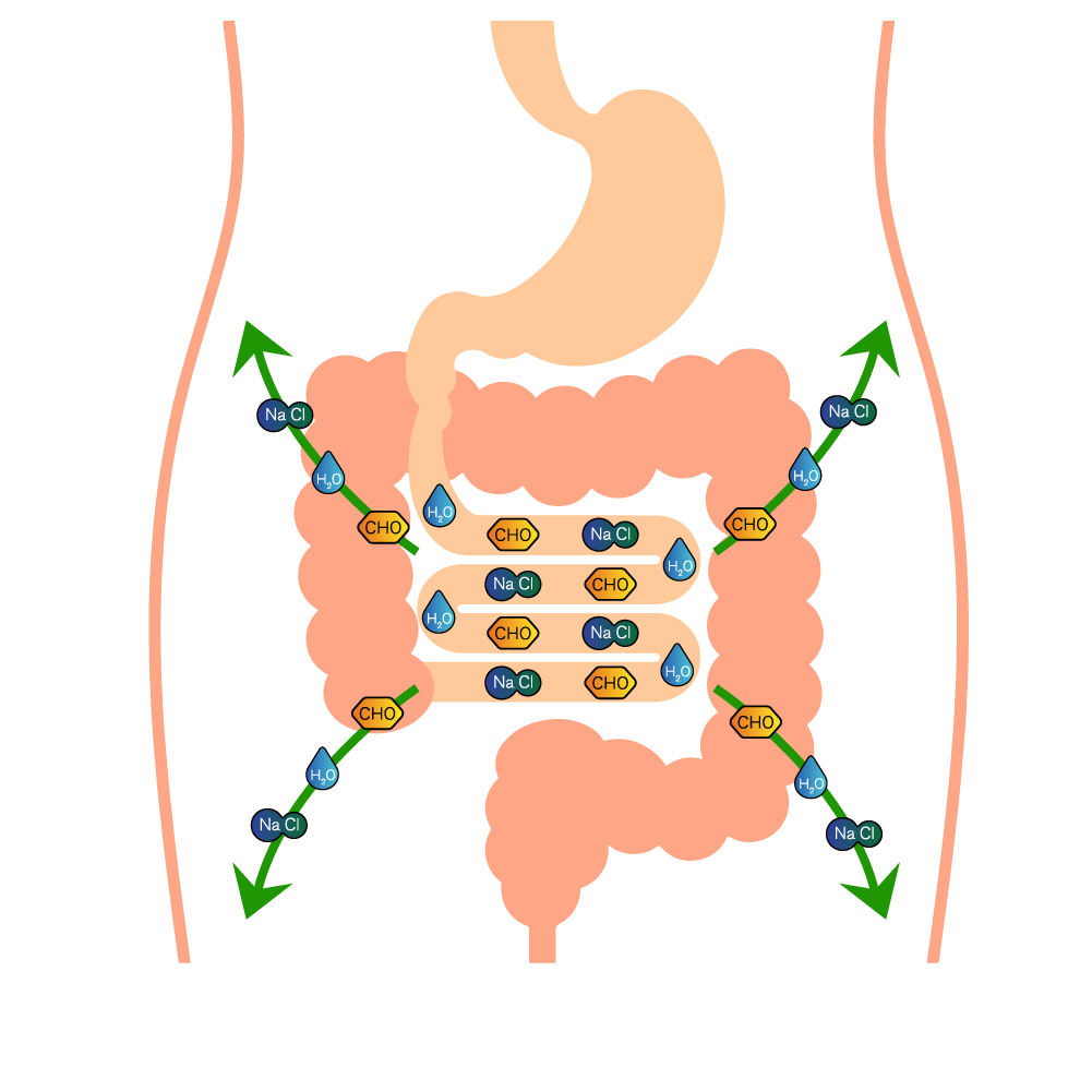 Isotonic solution leading to efficient absorption and movement of nutrition out of the gut